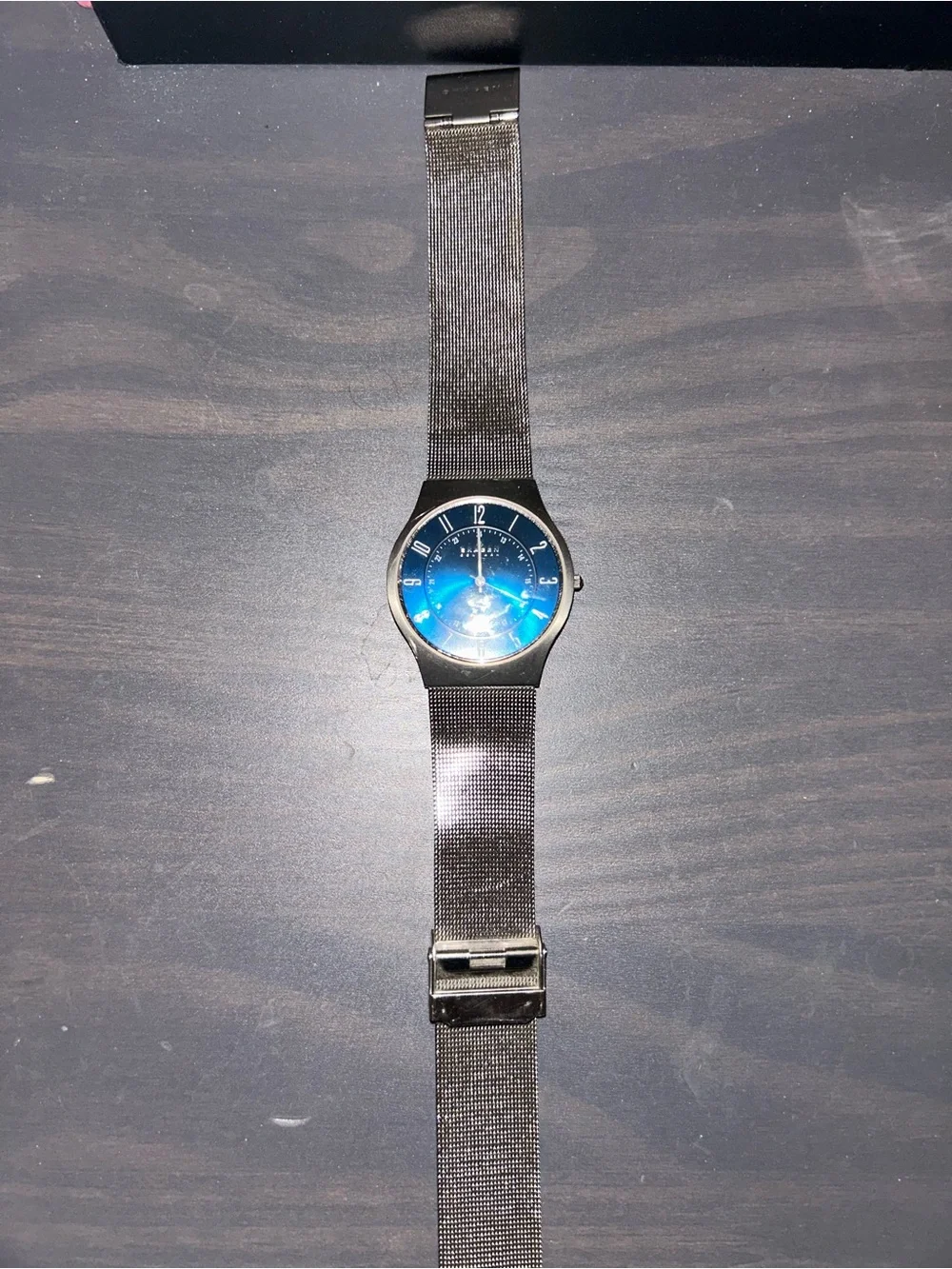 Skagen Men's Navy Blue Dial Titanium-Tone Mesh Watch